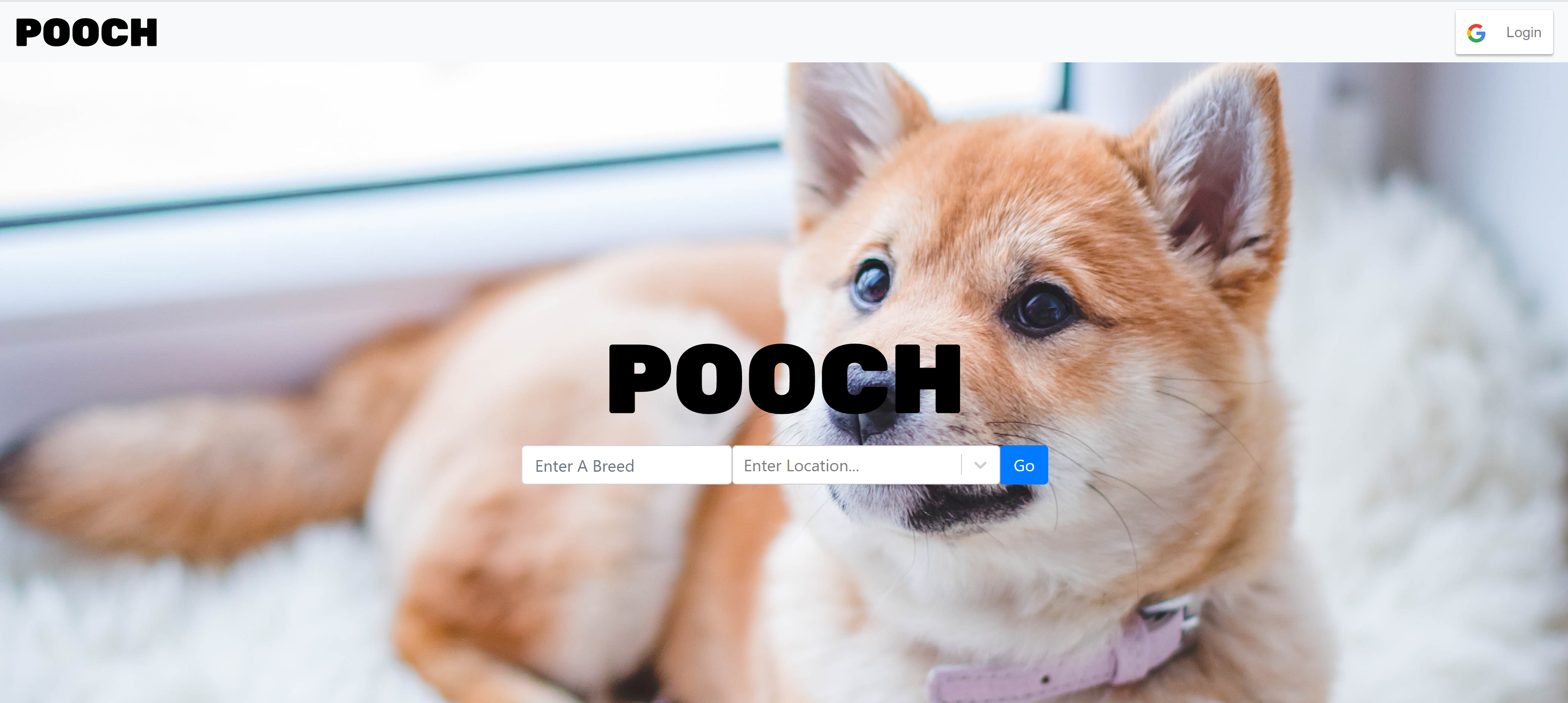 dog adoption website landing page
